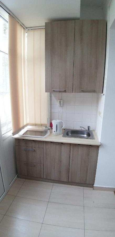 Domum George Enescu Apartment Букурещ Екстериор снимка